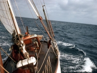 Voyaging across Indian Ocean