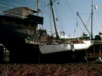 Bottom painting in Somalia at low tide